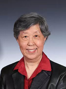 沙月琴