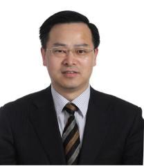 秦环龙